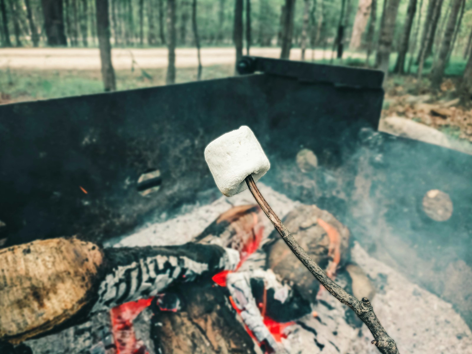 A Person Cooking on a Stick During the Campfire