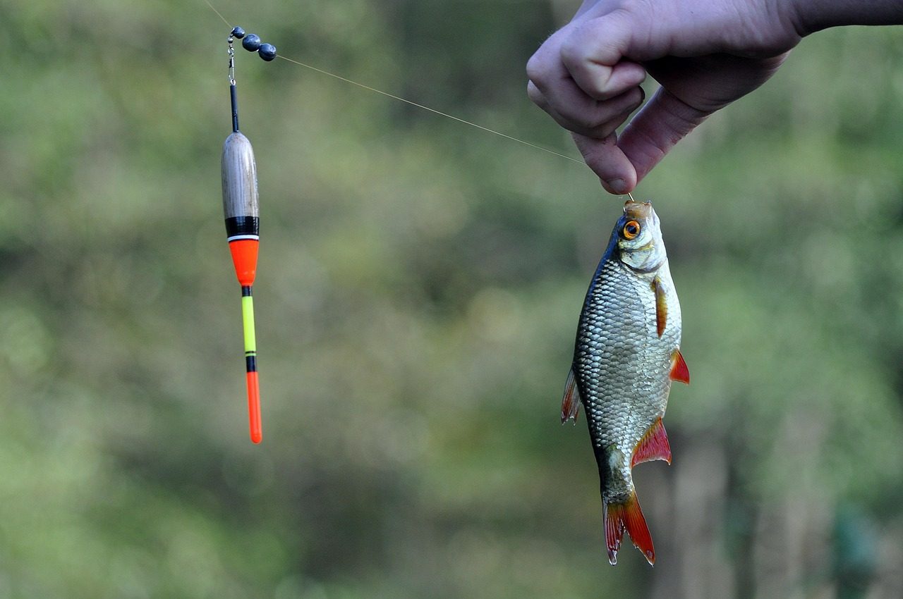 Thill Pro Series Slip Float Bobbers for Fishing