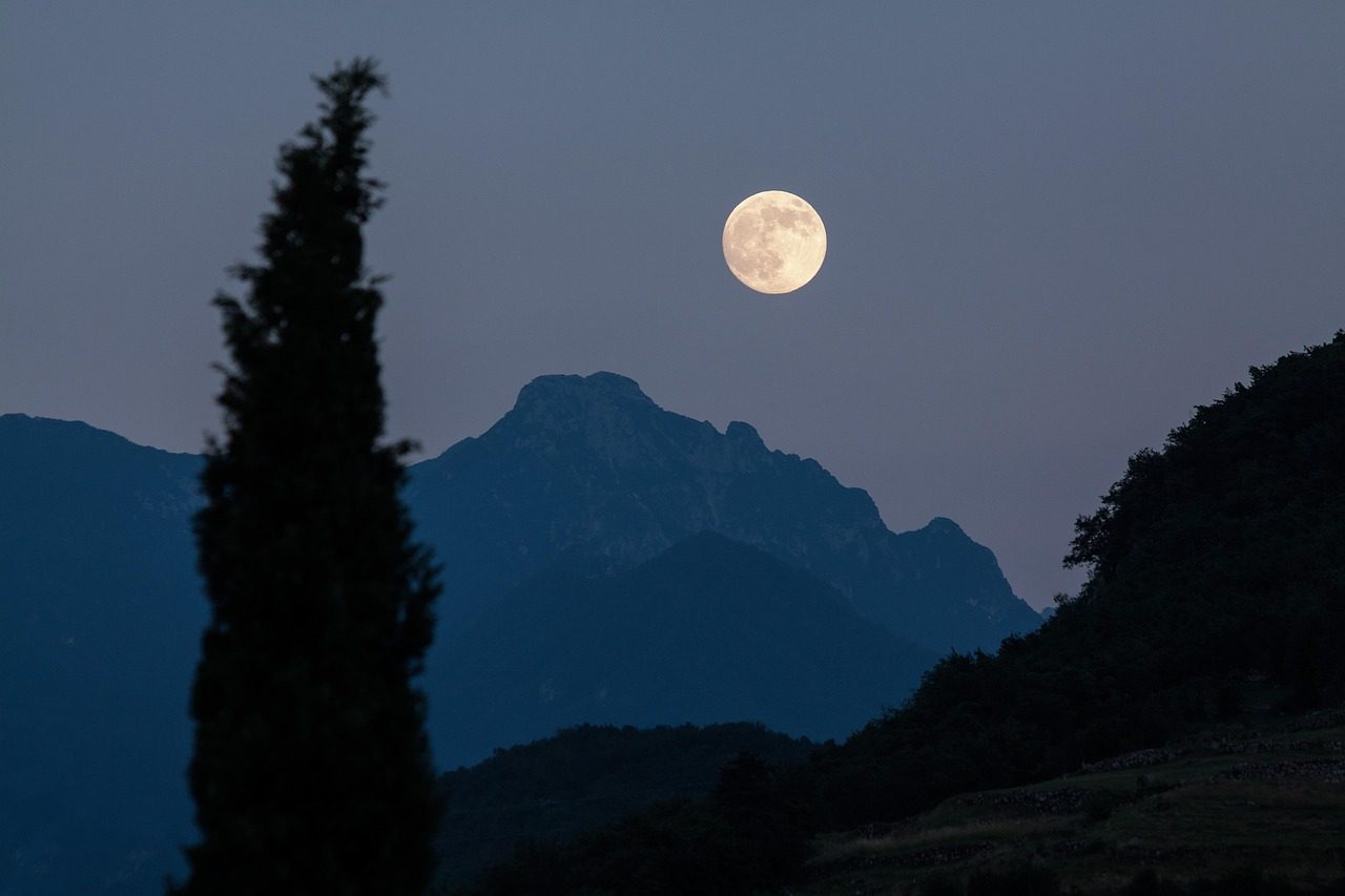 Serene view of a full moon illuminating a tropical forest.