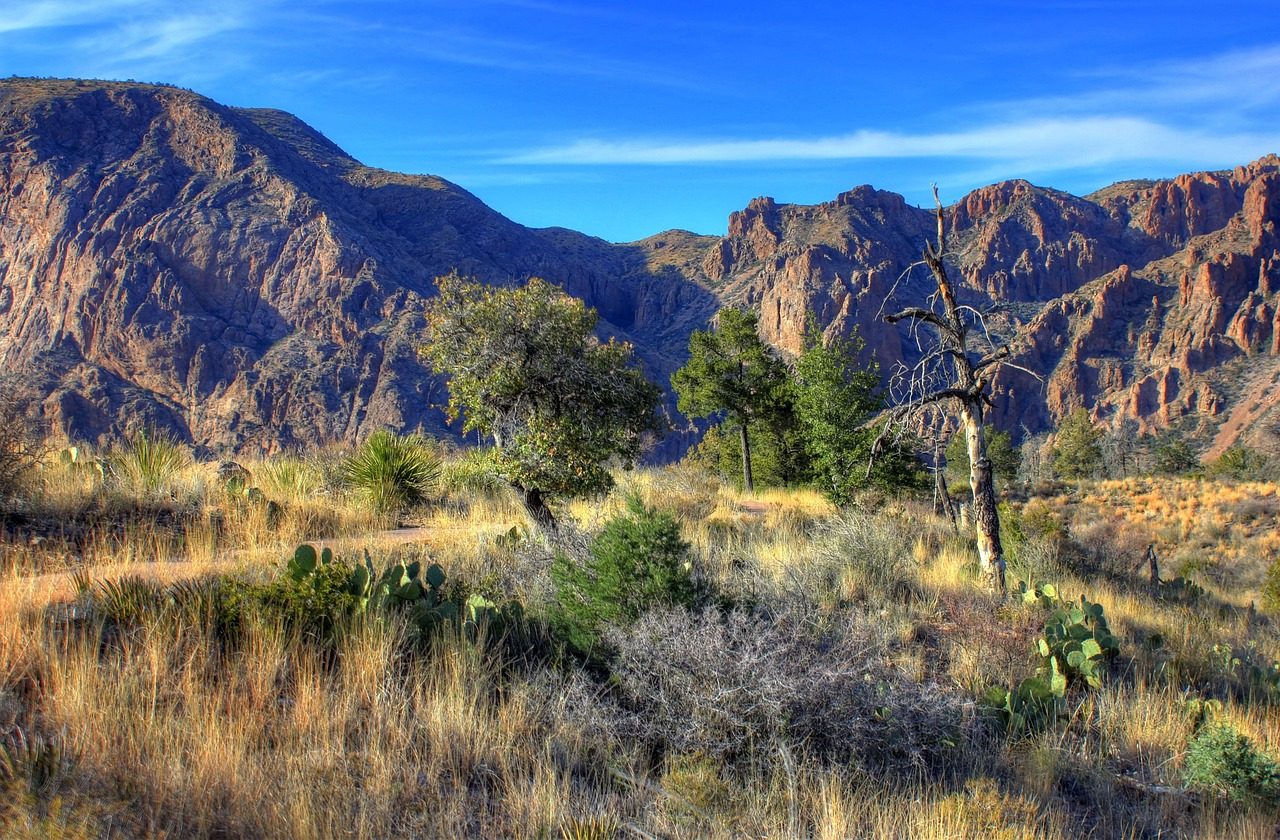 Big Bend National Park, Texas