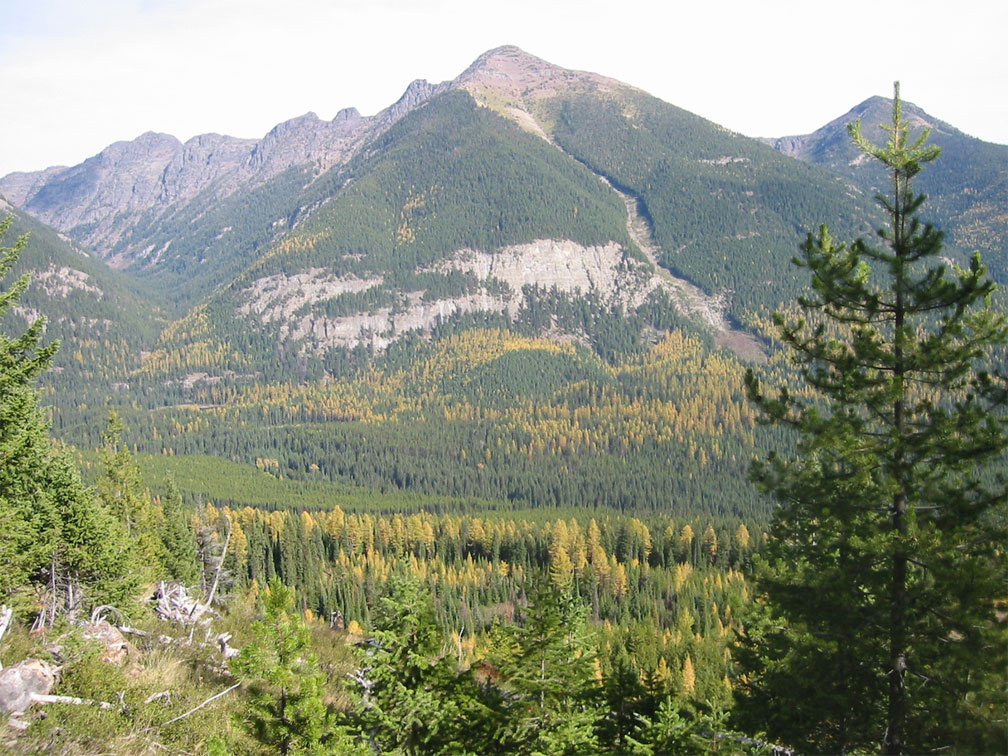 taiki-ishikawa-w6EMxsk8CDA-unsplash