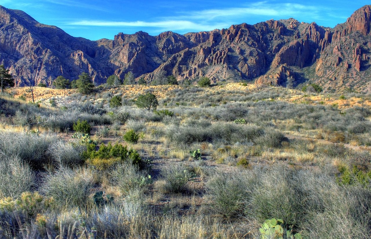 Big Bend Ranch State Park, Texas