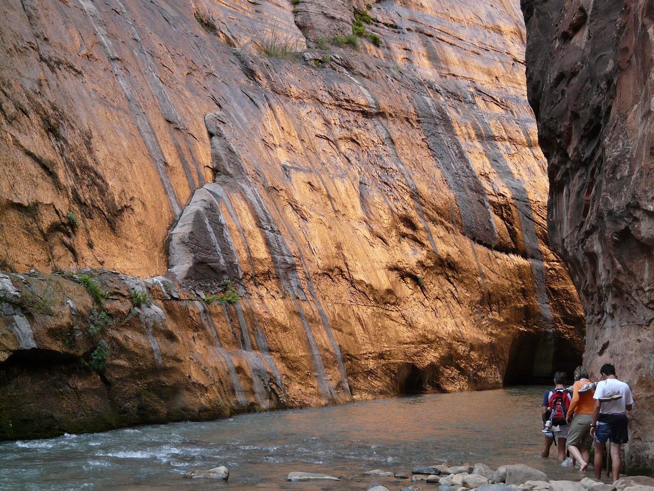 Guided Ranger Programs in Zion National Park