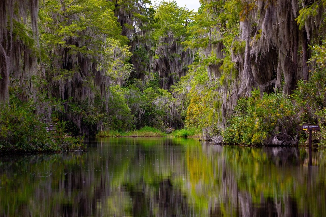 Okefenokee Swamp, Georgia
