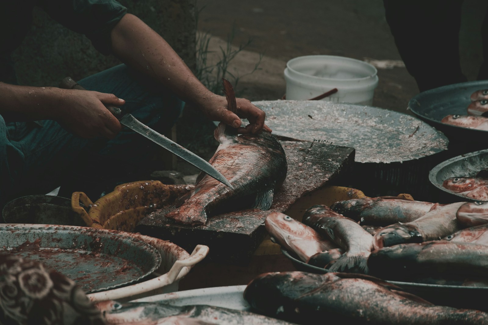 Rapala Fish ’n Fillet Knife