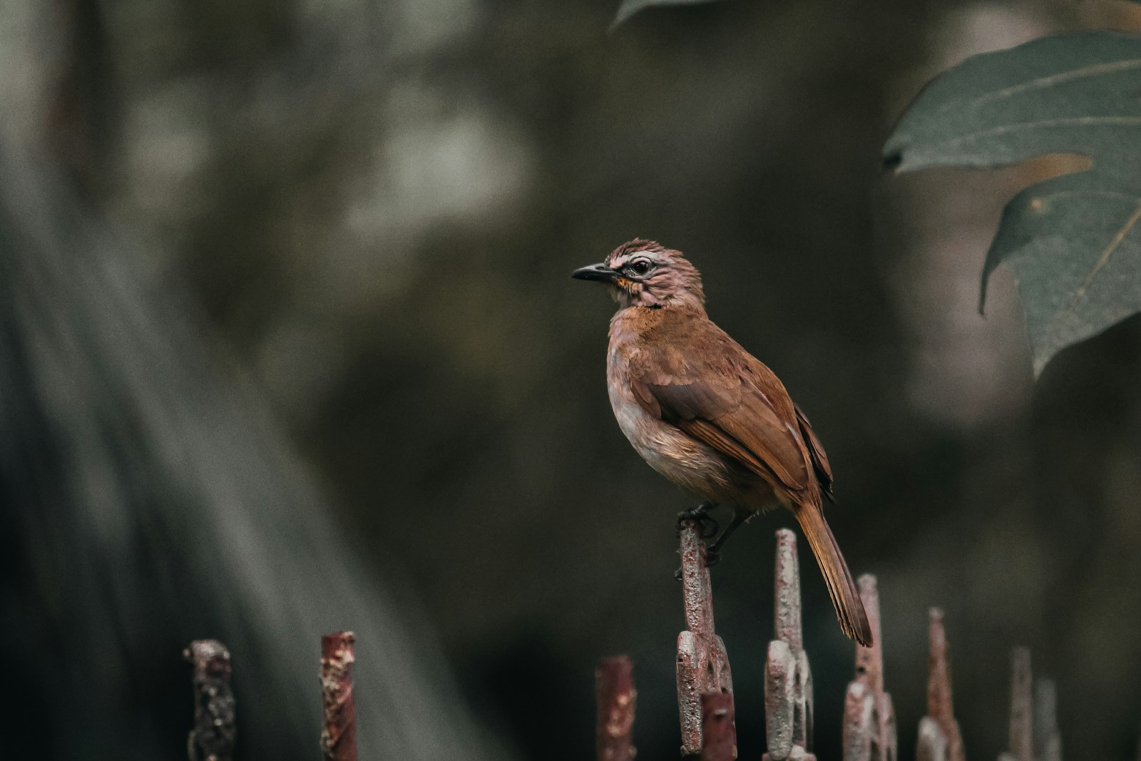 a bird perched on a branch