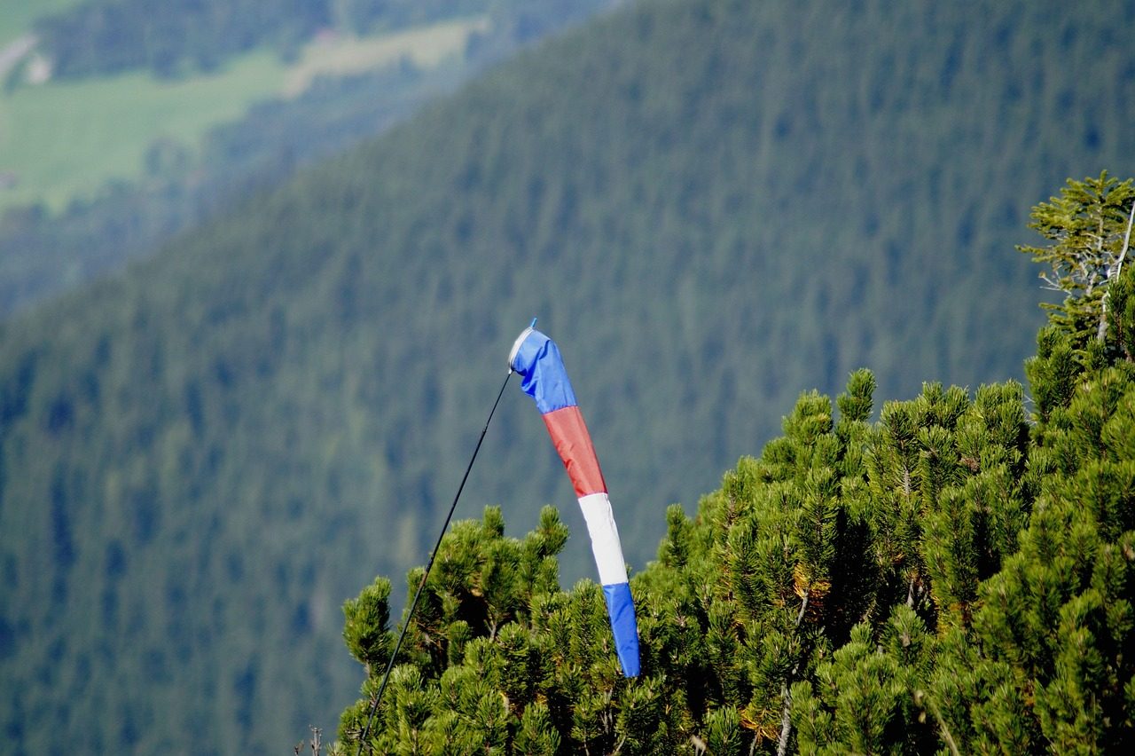 A Tracker checking wind direction in Forest