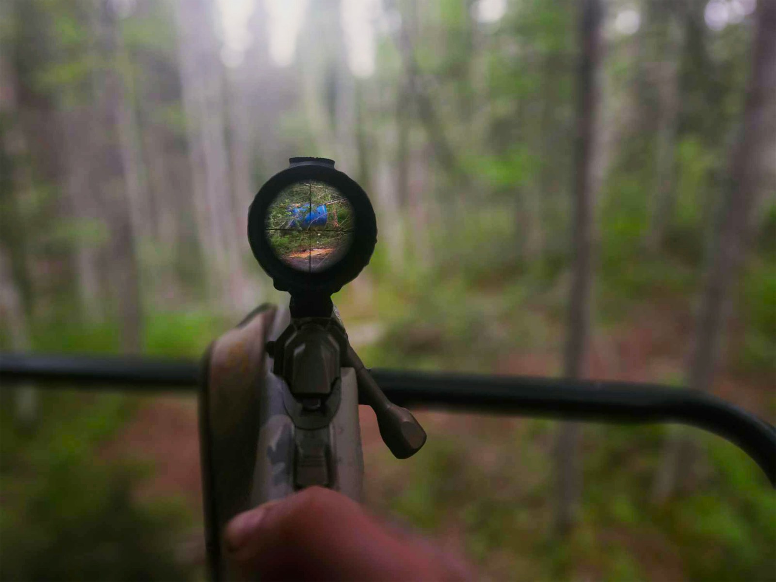 Focusing a rifle scope towards a blurred scene.
