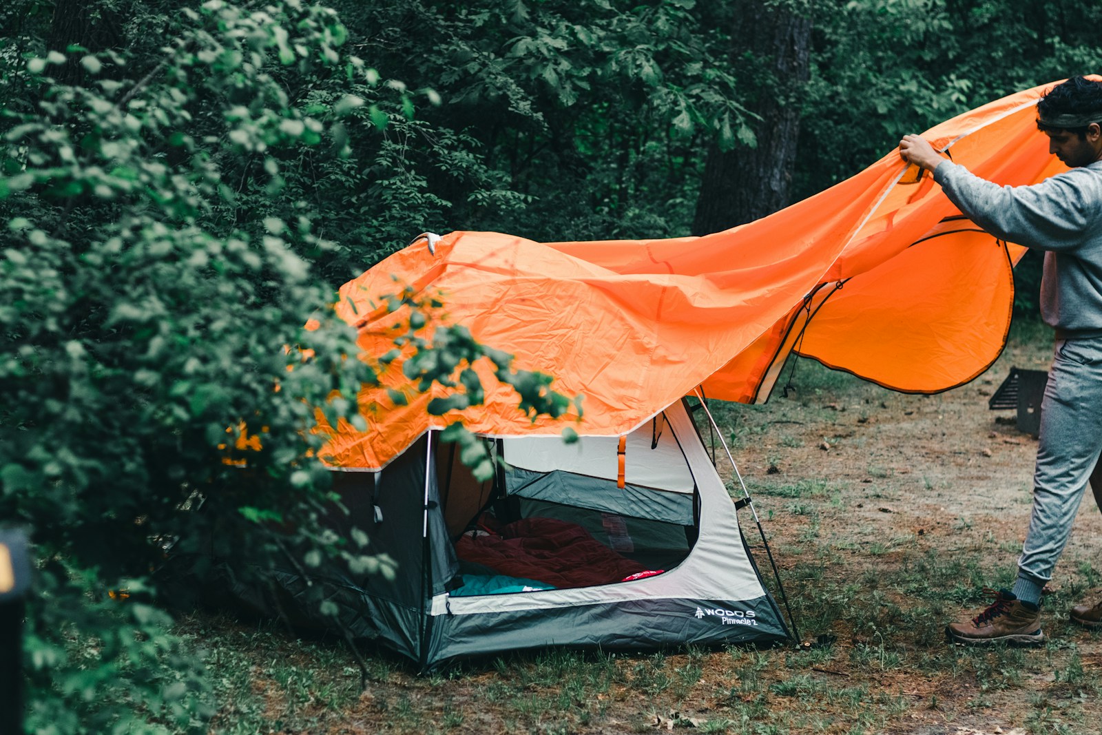 orange and gray tent in forest during daytime