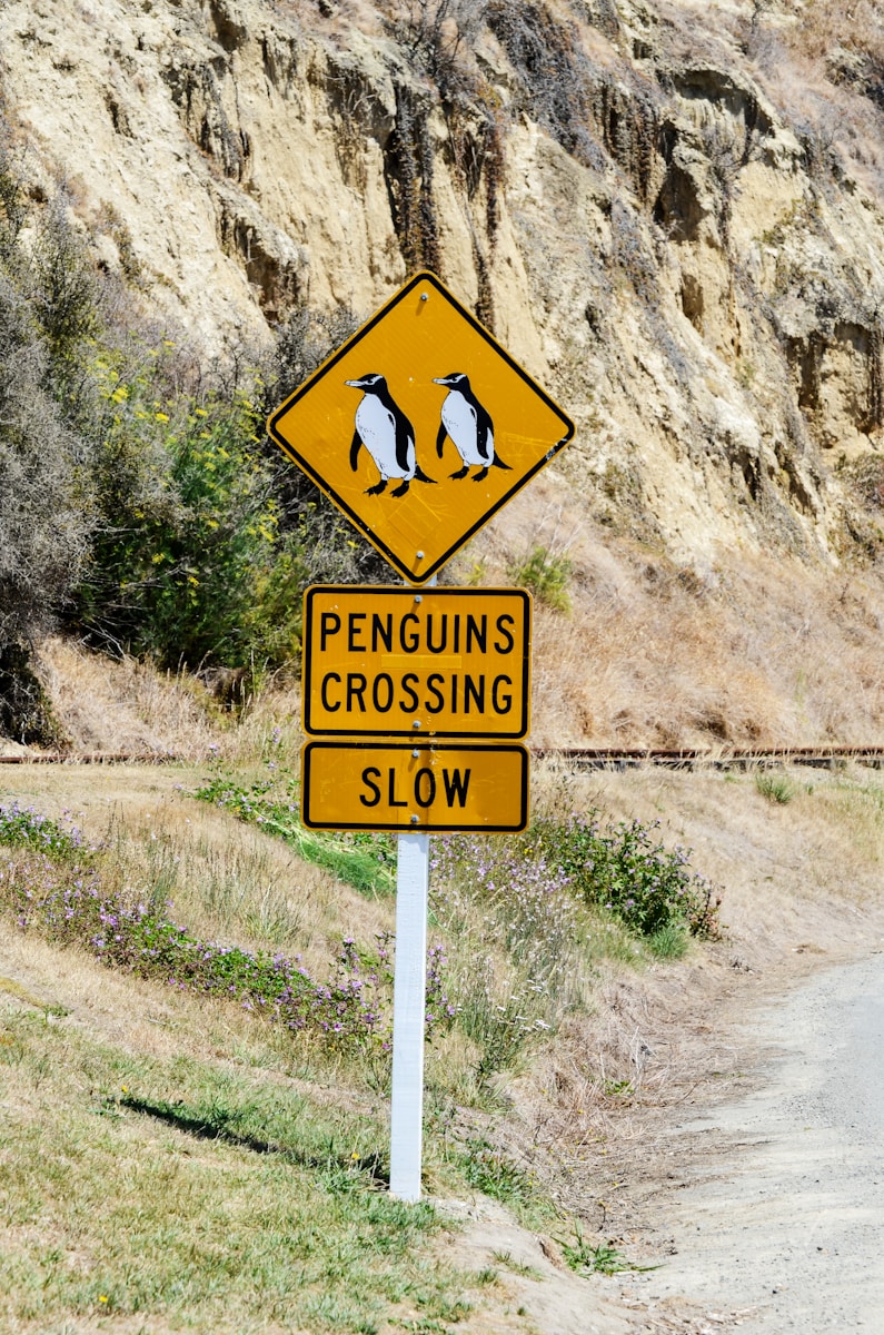 Yield to Penguins, Alaska road sign
