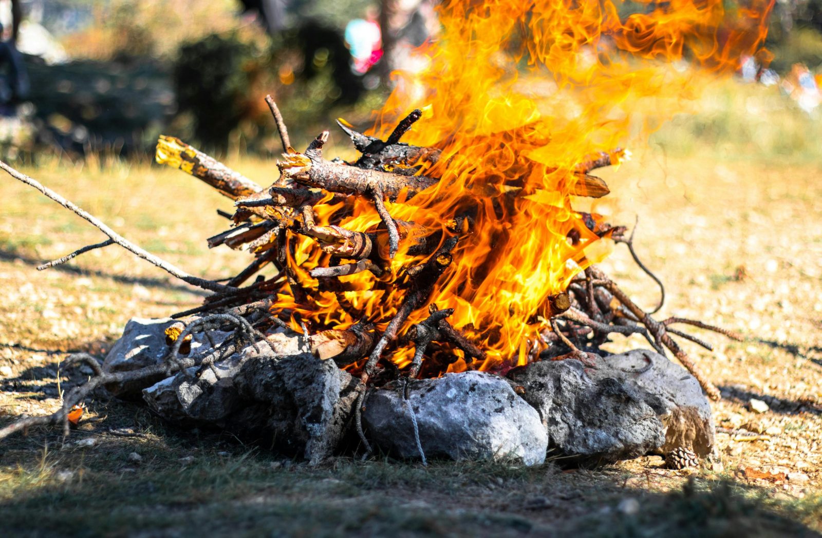 Close-up of a campfire with logs and stones outdoors, showcasing vivid flames.