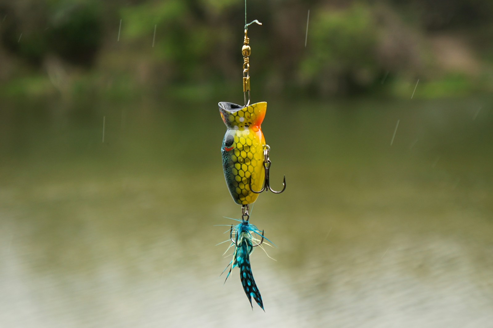 Chartreuse Bait for Fishing