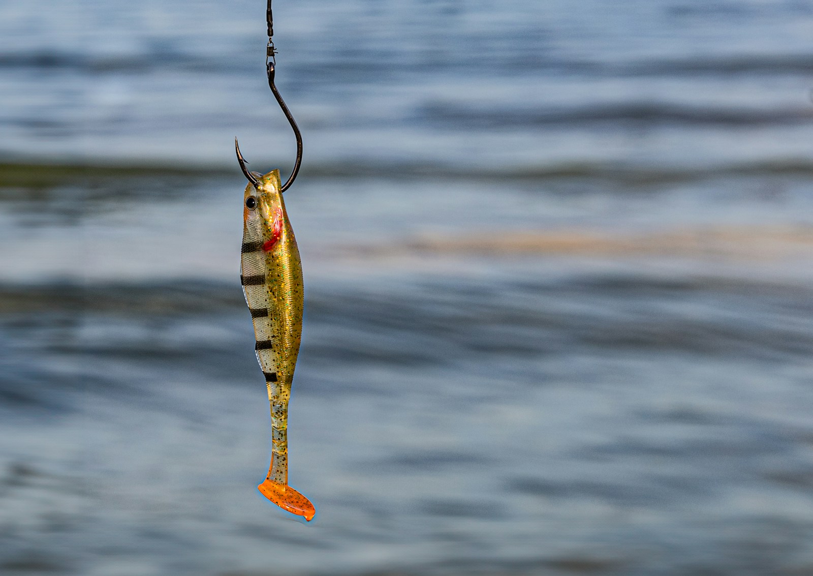 A fish hanging from a hook in the water