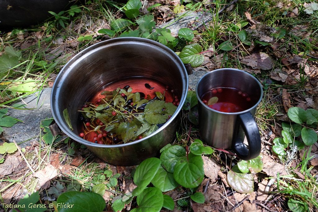 A Hiker Making Tea in Forest