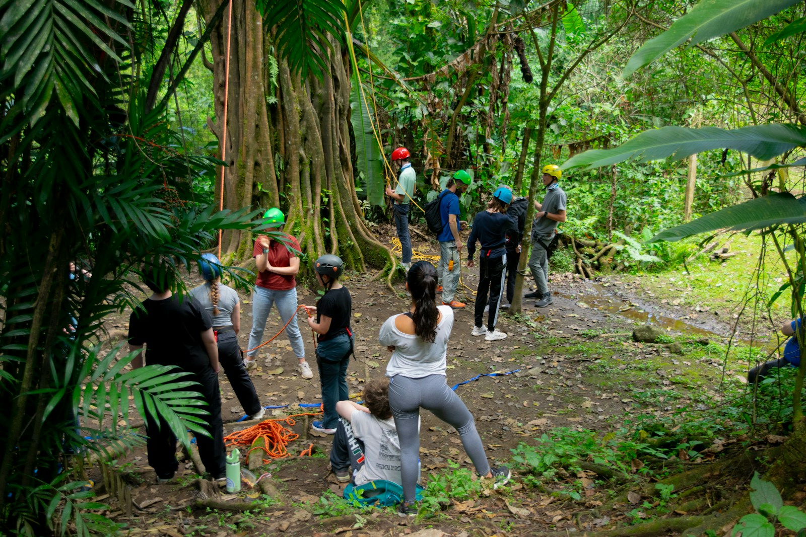 taiki-ishikawa-w6EMxsk8CDA-unsplash People gather in a lush rainforest setting.