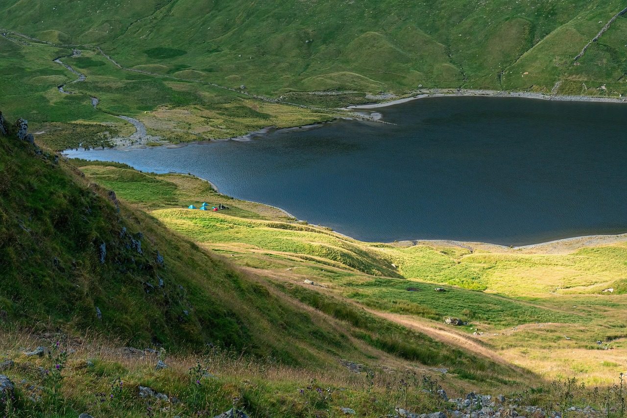 Camping in Scenery