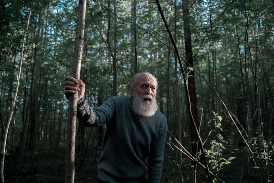The Afraid Man in the Forest