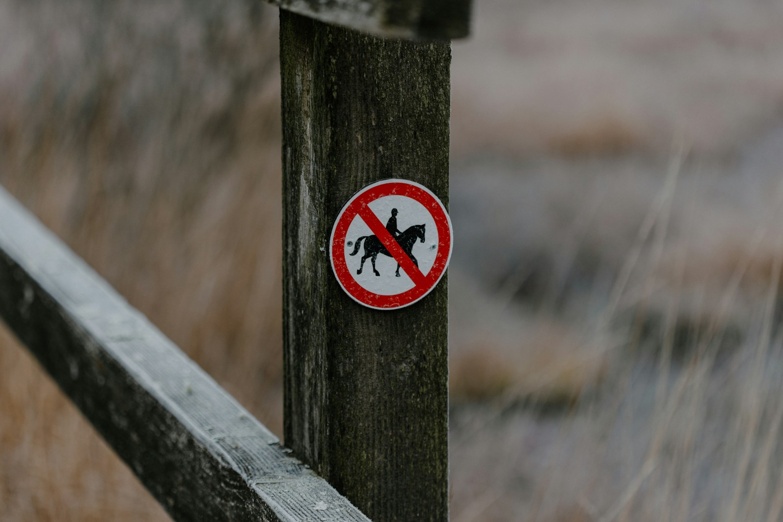A no hunters allowed sign on a wooden fence
