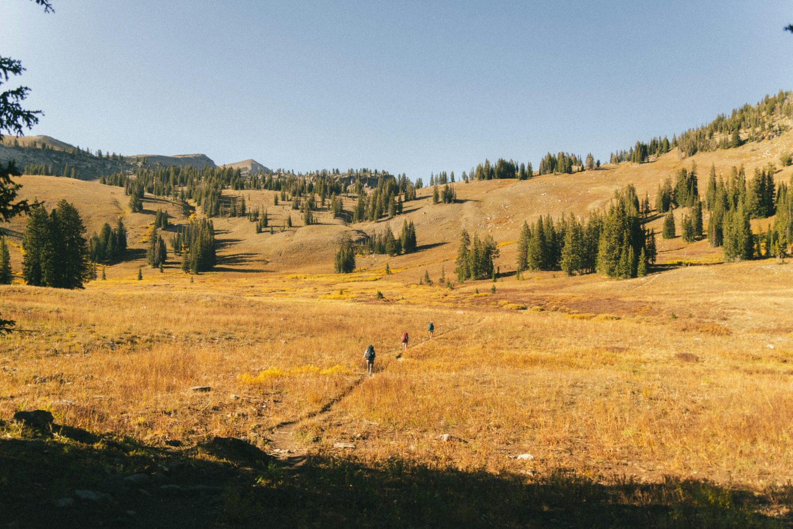 Hikers trek through a picturesque autumn landscape in Wyoming's wilderness.