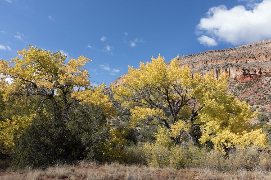 Jemez Springs in New Mexico