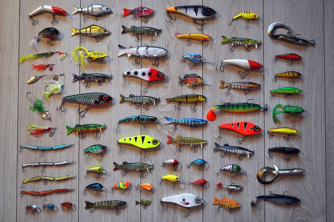 taiki-ishikawa-w6EMxsk8CDA-unsplash Bait for Fishing