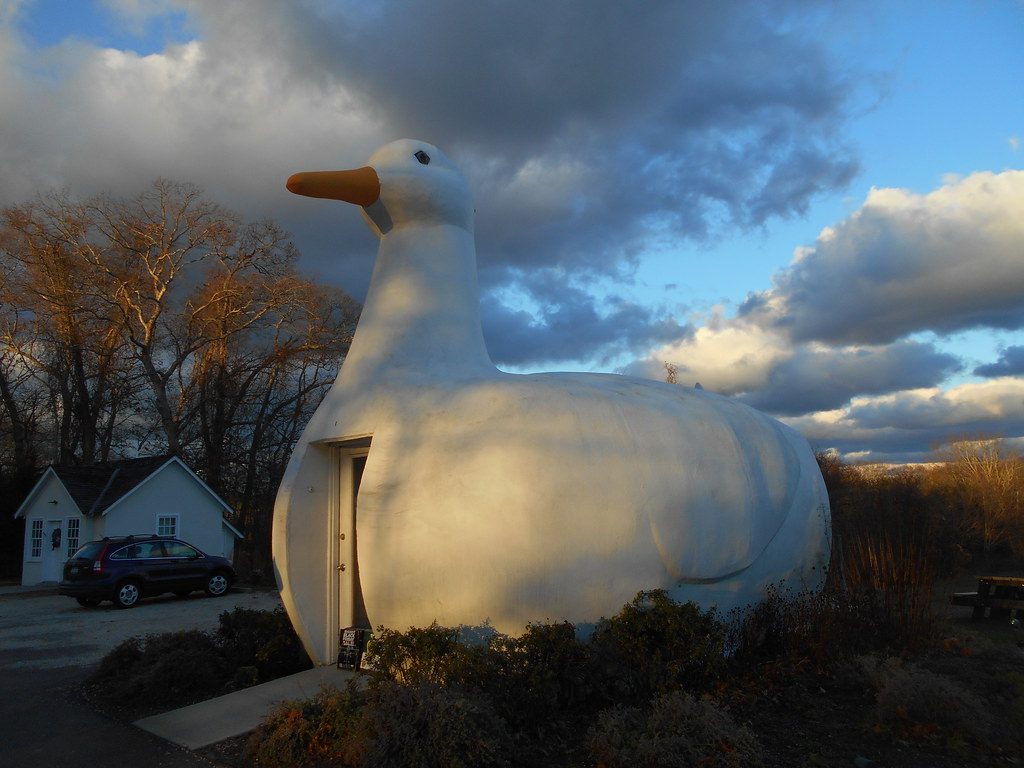 The Big Duck in New York