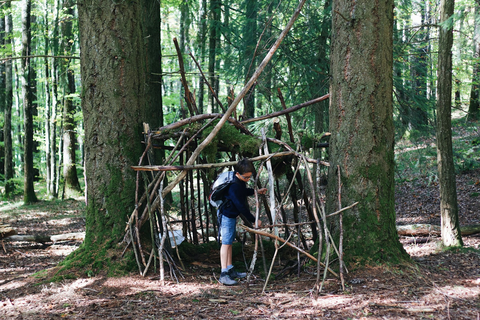 a person standing in the woods near a structure made out of sticks