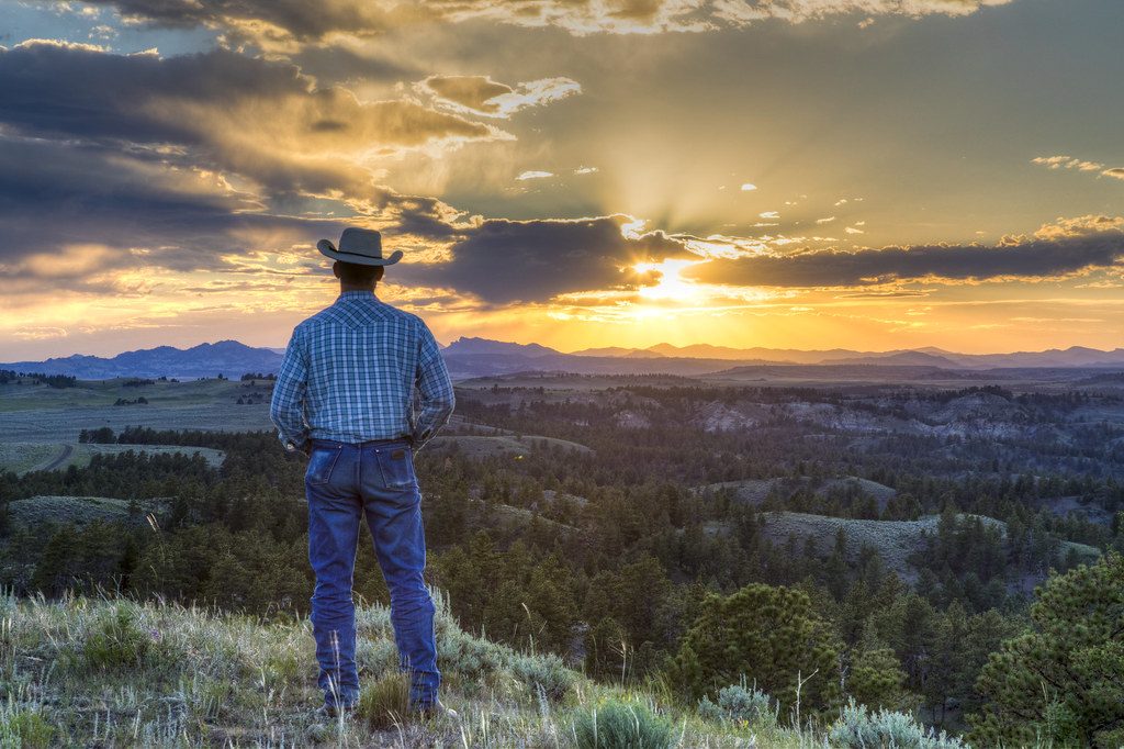 Cowboys in American Wild West