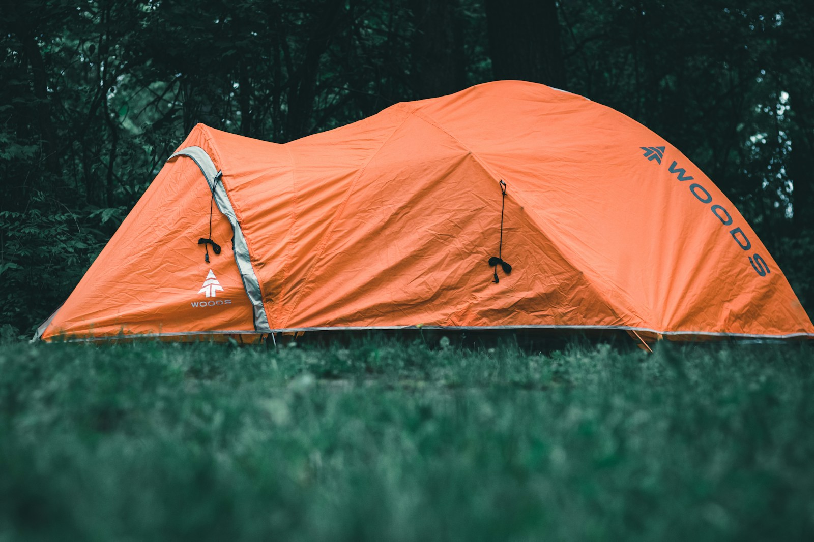 orange tent on green grass field