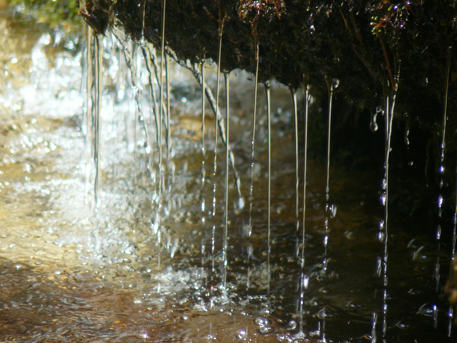 Raindrops Falling