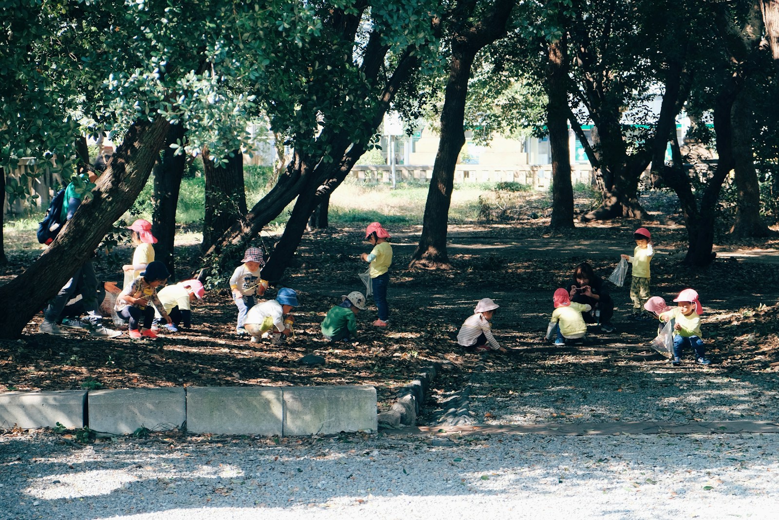taiki-ishikawa-w6EMxsk8CDA-unsplash people sitting on concrete bench near trees during daytime