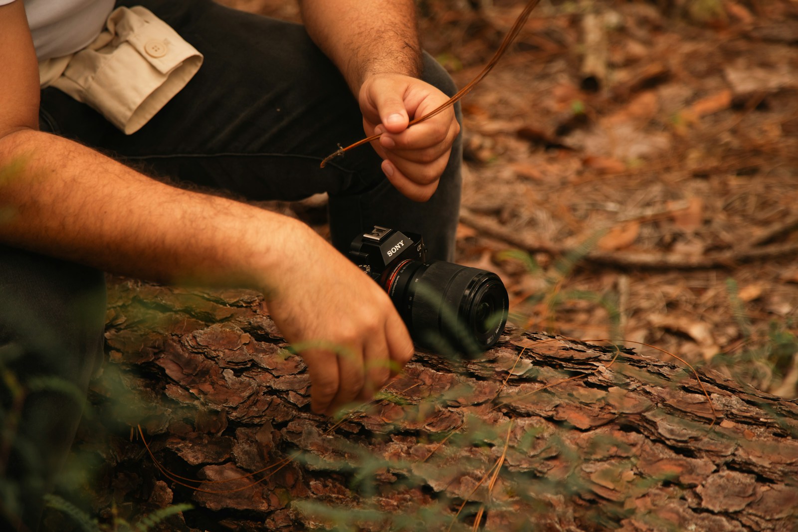 A Tracker Noticing Scat Patterns in Forest