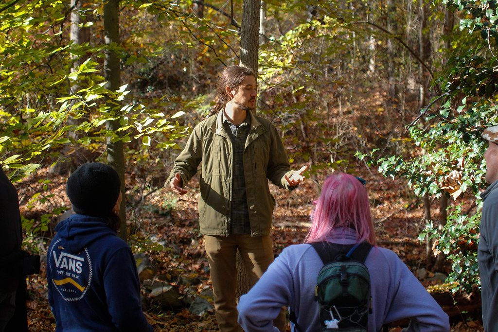 Foraging Walk