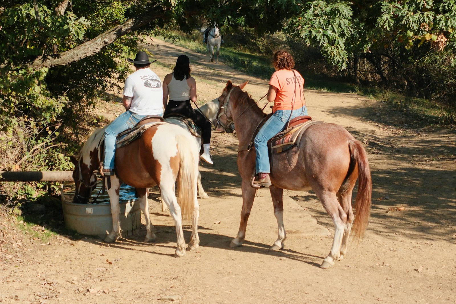 A group of people riding on the backs of horses