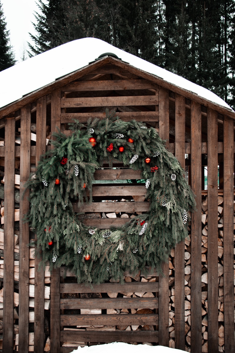 taiki-ishikawa-w6EMxsk8CDA-unsplash Bushcraft Christmas Decorations