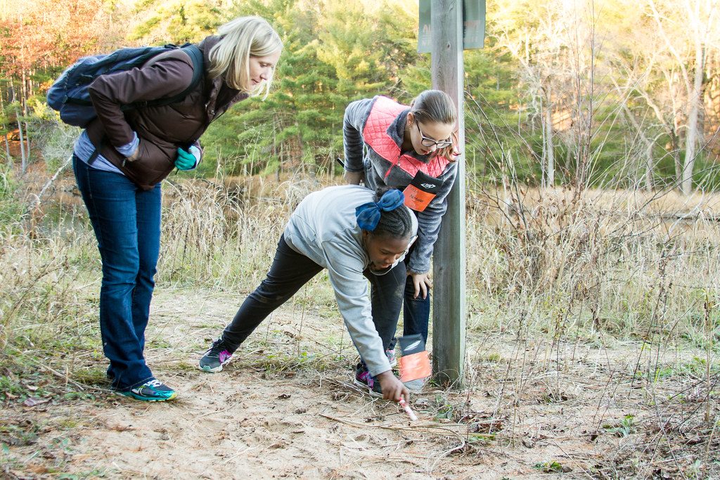 A Group Track Animal Signs