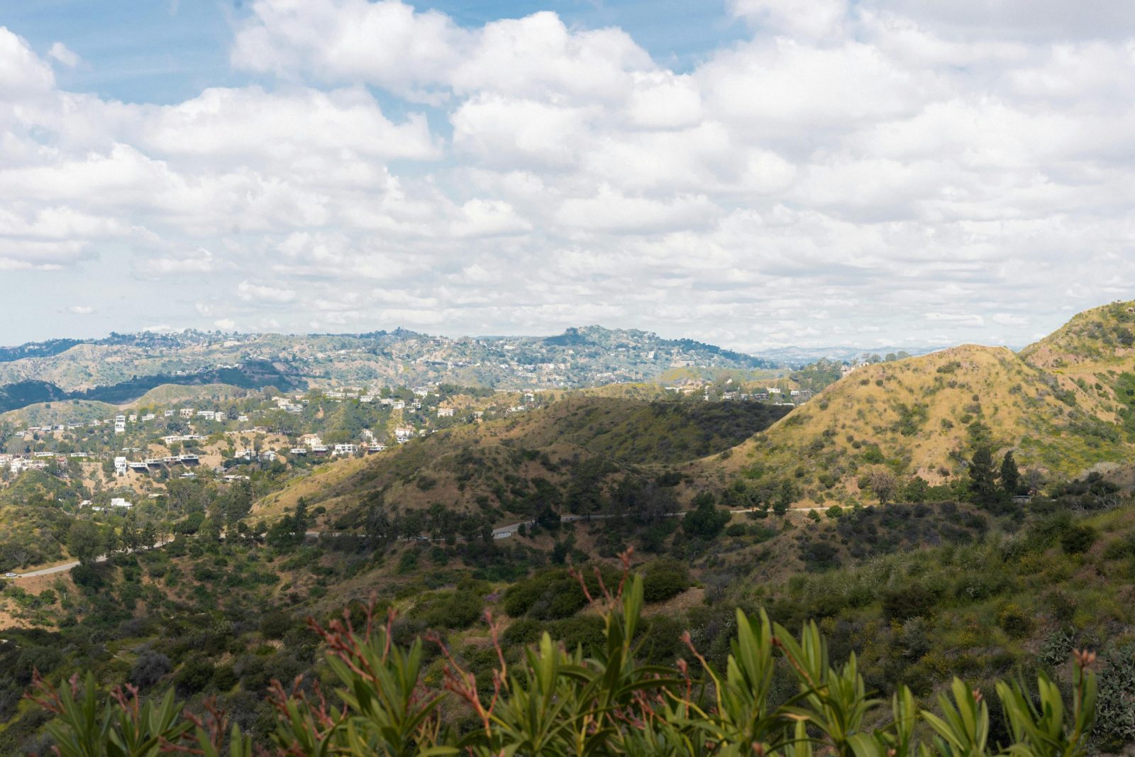 Griffith Park, California