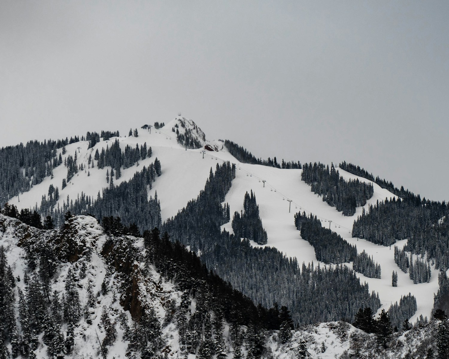 Aspen in Colorado Mountain