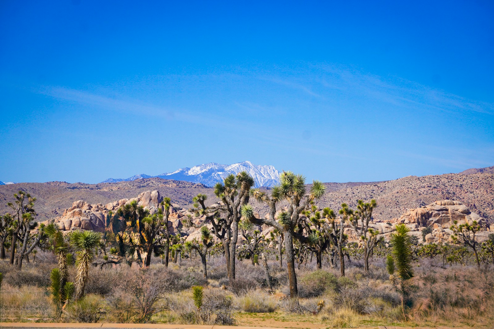 Joshua Tree National Park, California