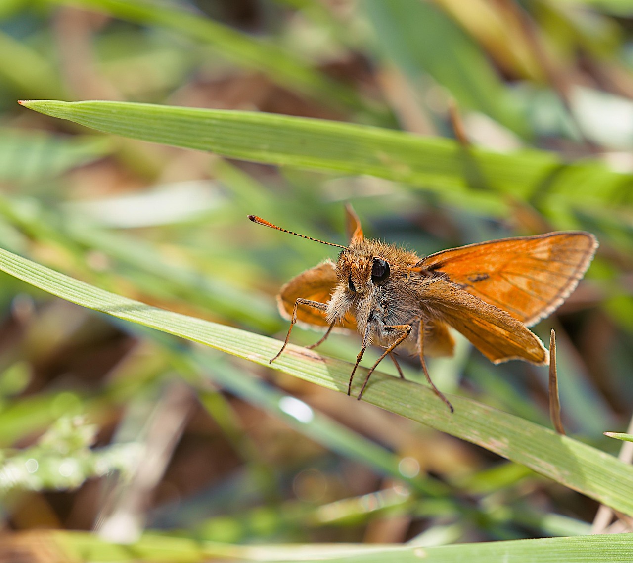 taiki-ishikawa-w6EMxsk8CDA-unsplash