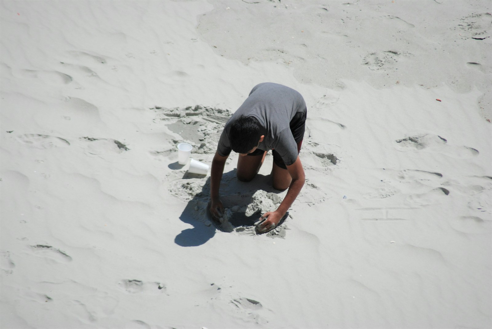 A Person Beachcombing