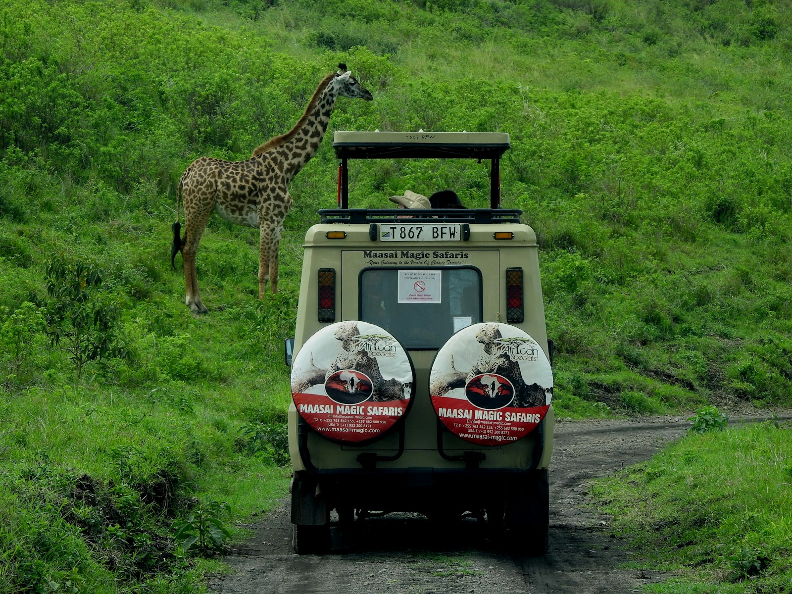 A Group on Safari