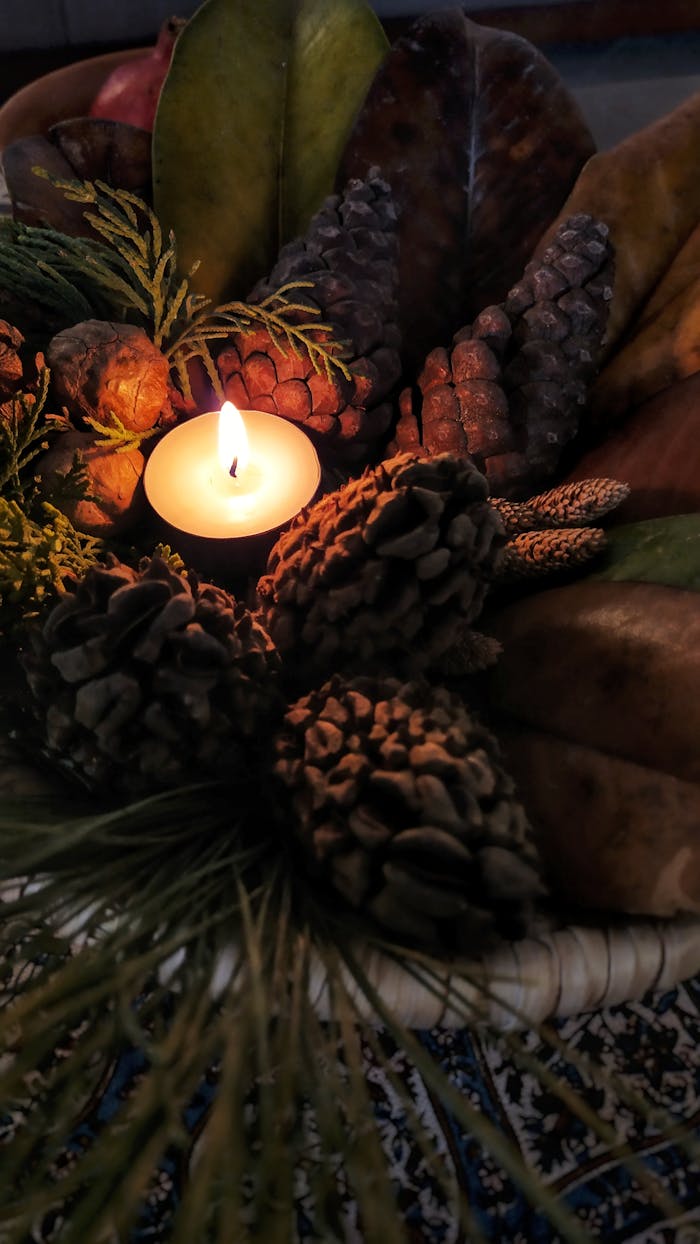 White Candle on Brown Pine Cone