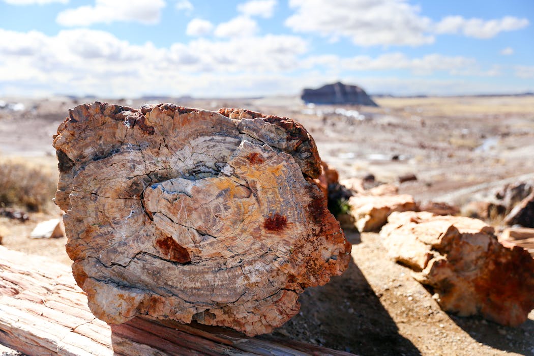 Petrified Forest National Park, Arizona