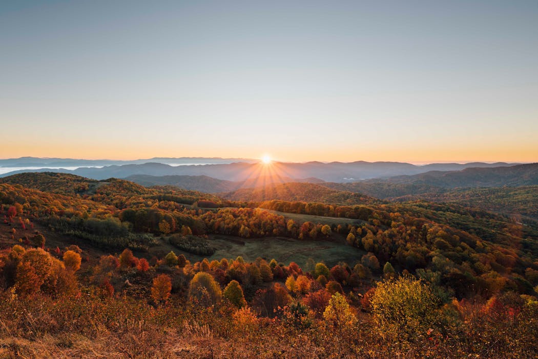 Pisgah National Forest, North Carolina