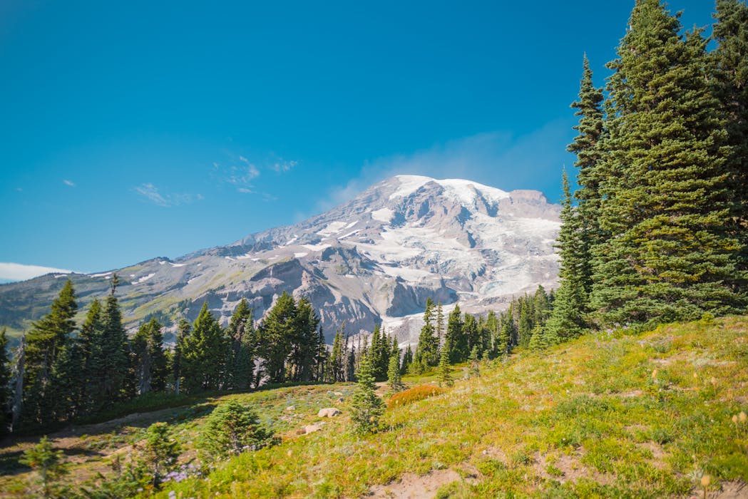 Mount Rainier’s Nisqually Vista Trail, Washington