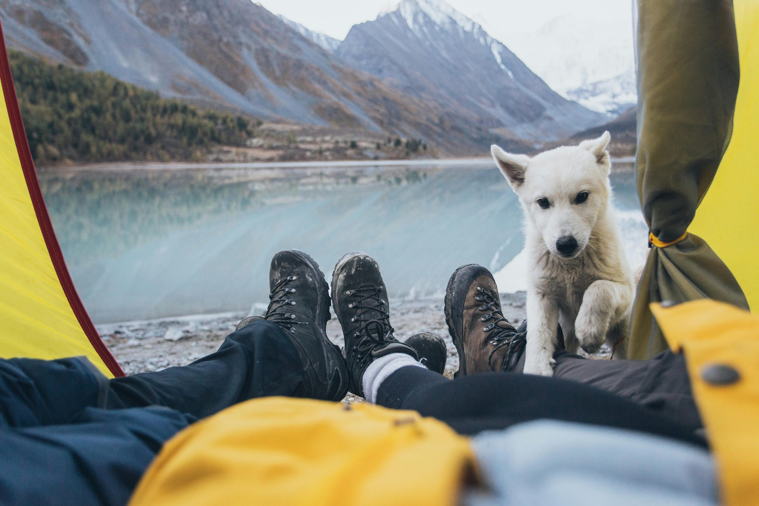 Two Hikers and a Dog