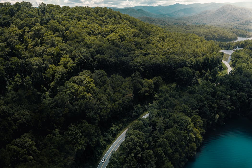 Cades Cove Loop, Tennessee
