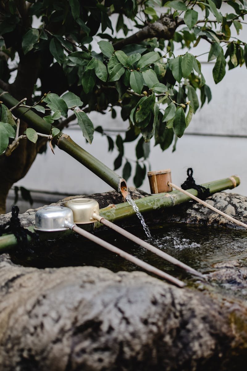 Water Flowing in a Bamboo Pipe