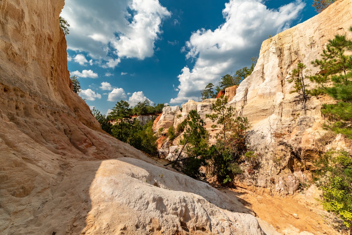 Scenic View of Providence Canyon, Georgia's Little Grand Canyon